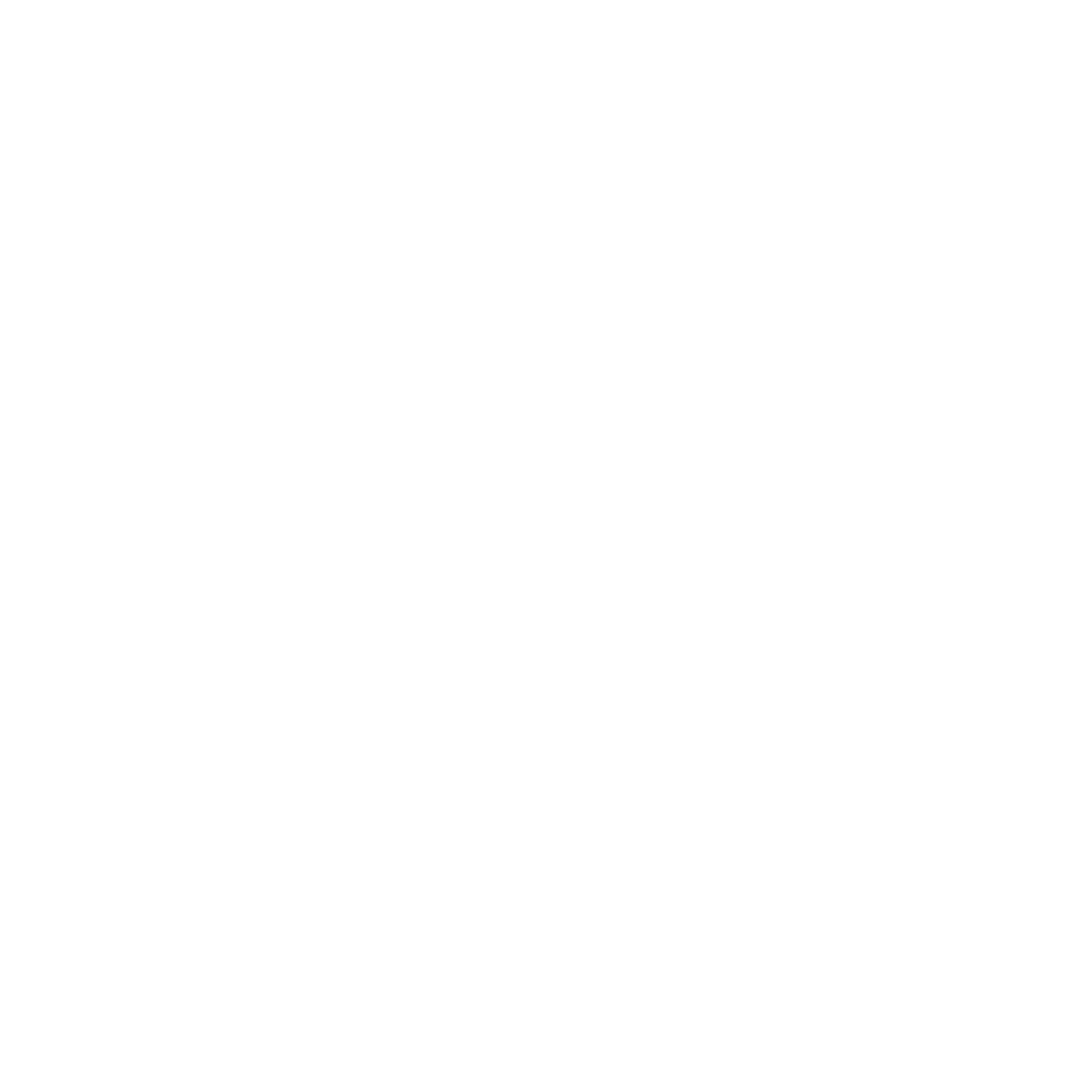 Epitech Digital School logo